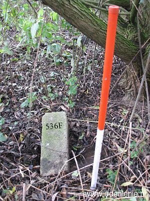 536f-siebengewald-baeckelter-weg-gn