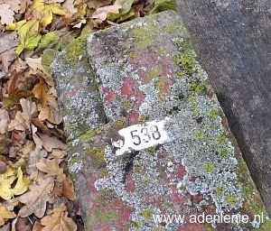 538-detail-siebengewald-d-zijde