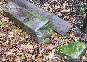 538-siebengewald-d-zijde