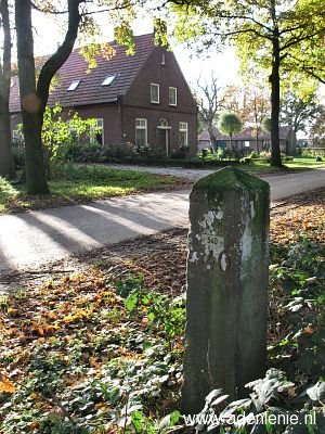 540-bijna-in-siebengewald