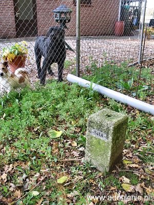 541a-omg-hoeve-terporten