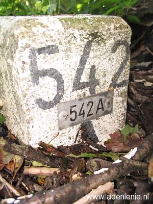 542a-bos-omg-vrij