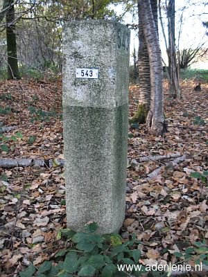 543-bos-omg-vrij