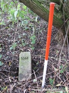 536f-siebengewald-baeckelter-weg-gn