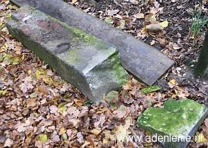 538-siebengewald-d-zijde