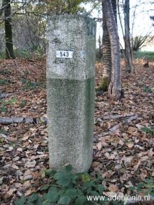 543-bos-omg-vrij