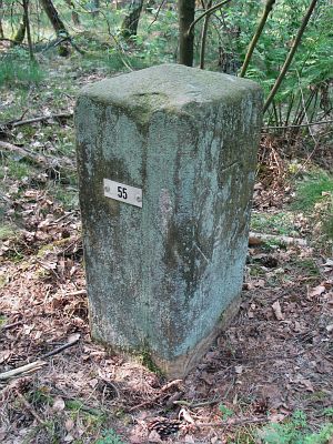 55-forst-bentheim-bossen-lange-fietspad