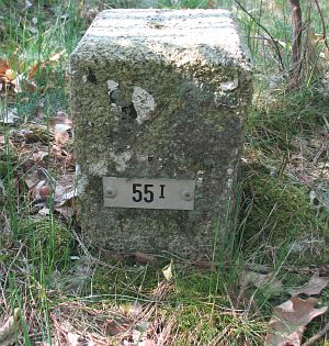 55-i-forst-bentheim-bossen-lange-fietspad