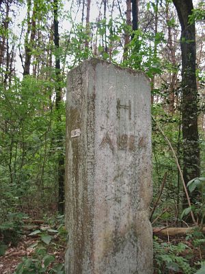 56-forst-bentheim-bossen-lange-fietspad