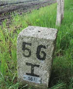 56-i-forst-bentheim-bossen-lange-fietspad