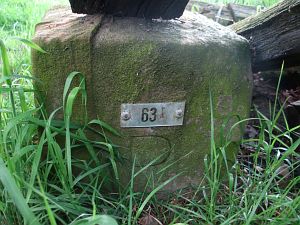 63-i-bergman