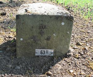 63-ii-bergman