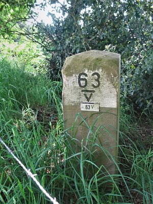63-v-rotmanskamp-bergman