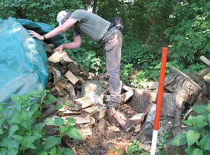 69-ad-tussen-hout