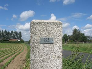 556-nieuw-met-pijltje