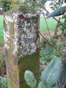559-grenspaal-omg-hommersum