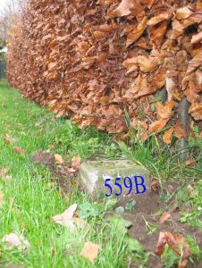 559b-in-tuin-bij-wit-huis-hommersum