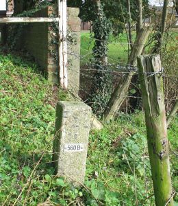 560b-beekje-kendel