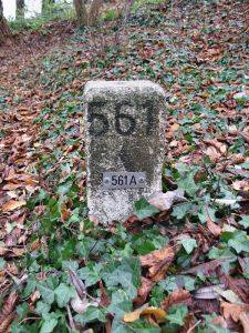 561a-d-zijde-lang-kendel-in-hommersum