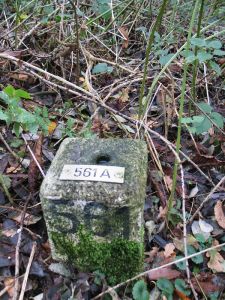 561a-n-zijde-lang-kendel-in-hommersum