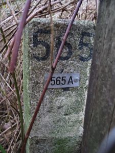 565a-d-zijde-ven-zelderheide-hekkens
