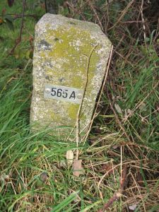 565a-n-zijde-ven-zelderheide-hekkens
