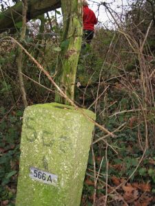 566a-n-zijde-ven-zelderheide-hekkens