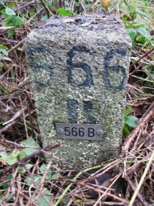 566b-ven-zelderheide-hekkens