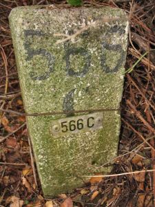 566c-ven-zelderheide-hekkens
