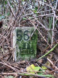 566d-ven-zelderheide-hekkens
