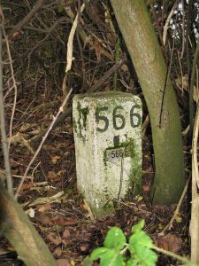 566e-ven-zelderheide-hekkens
