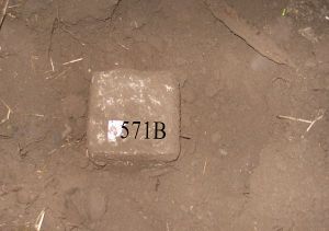 571b-ven-zelderheide