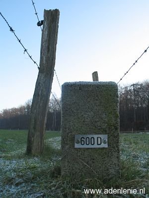 600d