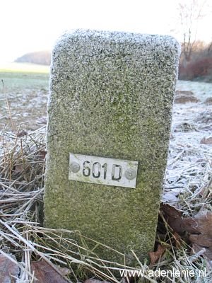 601d