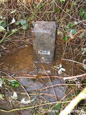 614d-oude-spoorbaan-in-sloot