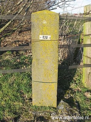 620-wyler-lage-wald