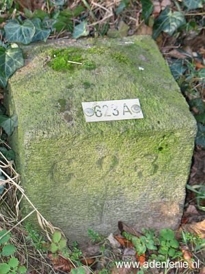 623a-omg-wyler