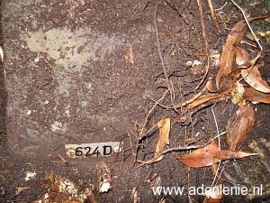 624d-hauptstrasse-wyler