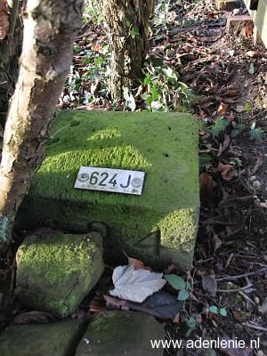 624j-hauptstrasse-wyler