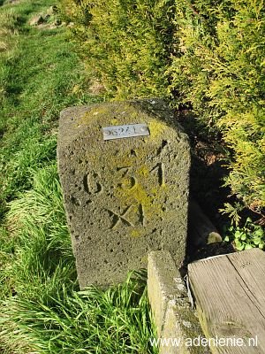 624l-omg-wyler