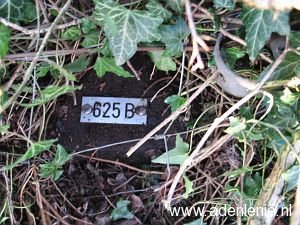 625b-hauptstrasse-wyler