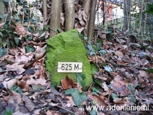 625m-hauptstrasse-wyler