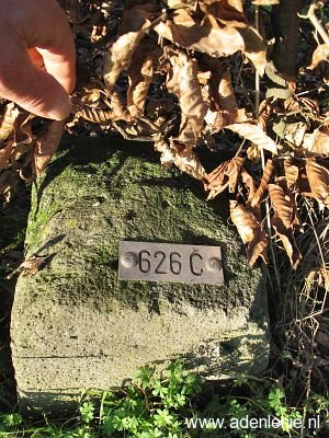 626c-omg-wyler