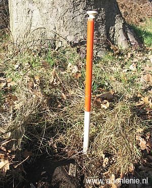 628e-oude-kleefse-baan-boomstronk
