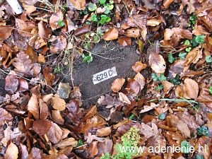 629c-oude-kleefse-baan