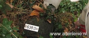 630d-tussen-wyler-en-beek