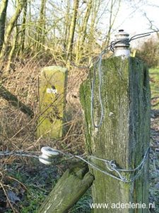 606a-omg-de-horst