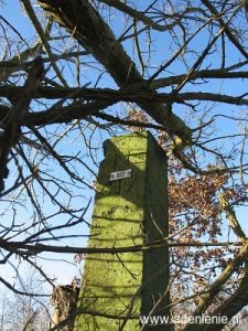 617-omg-sheffenthum