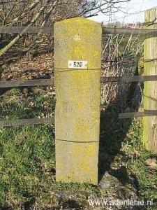 620-wyler-lage-wald