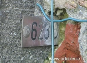 623b-omg-wyler
